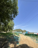 1711418747142245.jpg 1711418751015.jpg