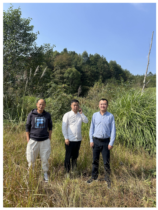 1734941283371982.png image.png